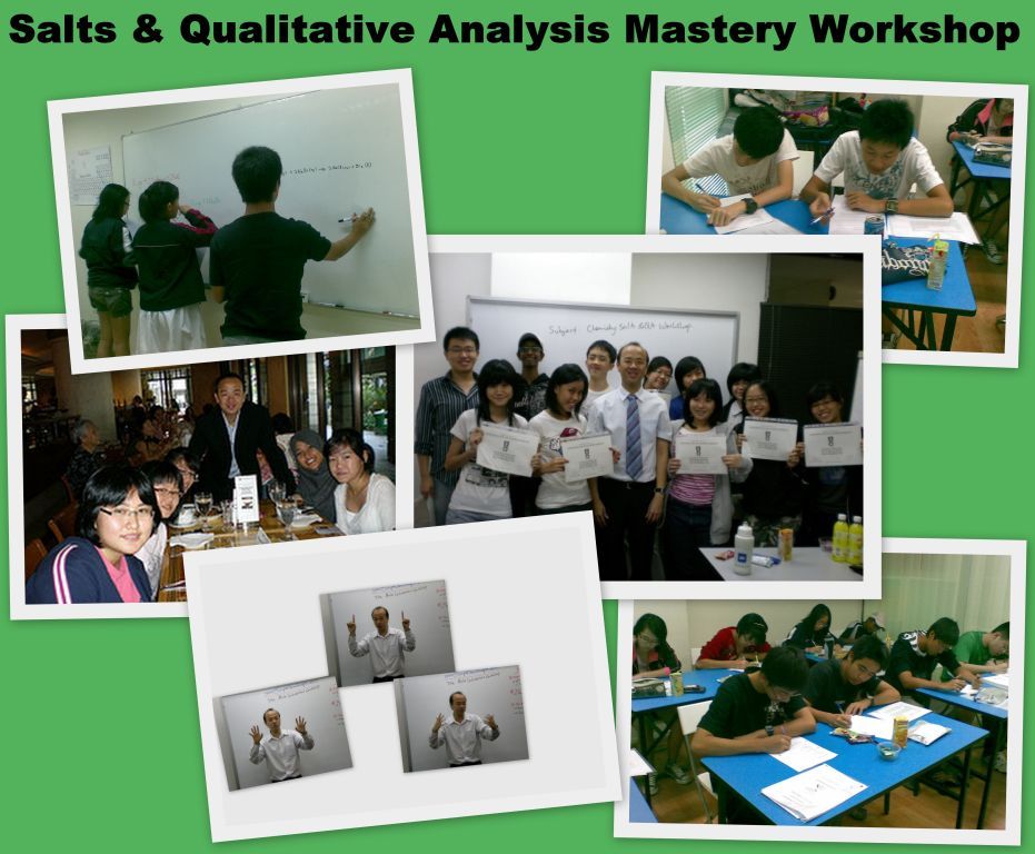 Salts & Qualitative Analysis Mastery Workshop